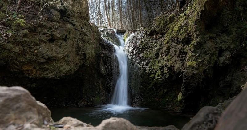 Exploring Ecotherapy: The Healing Power of Nature