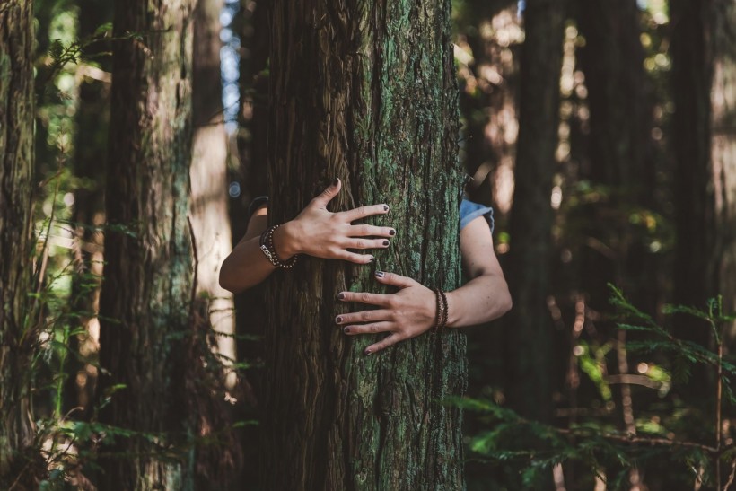 The Healing Power of Nature: Nurturing Mental Health in the Great Outdoors