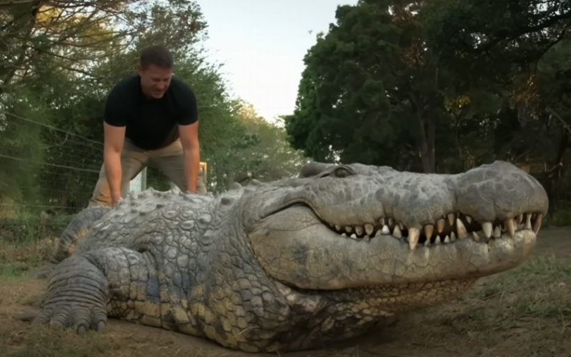 World's Oldest Crocodile: Meet Henry, the 16-Feet Croc With 6 Wives and 10,000 Babies