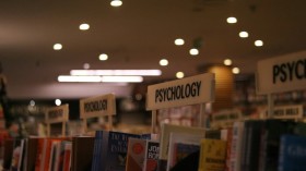 What Is a Bridging Course in Psychology?