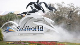 Tourists Caught Off Guard by Orca Poop Shower at SeaWorld San Antonio