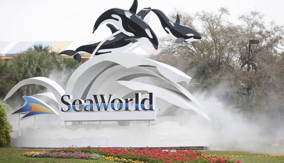 Tourists Caught Off Guard by Orca Poop Shower at SeaWorld San Antonio