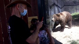 Beloved Grizzly 399, the World’s Most Famous Bear, Dies After Being Struck by Vehicle