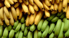 Bananas 