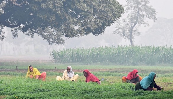 Record Methane Levels Linked to Microbial Activity, Study Finds