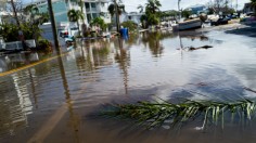 Hurricane Helene's Impact Extends to Space, Revealing Atmospheric Gravity Waves