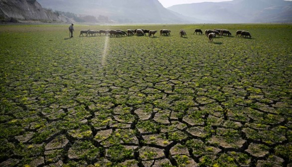 How Climate Change Could Worsen Dengue Spread in Years to Come