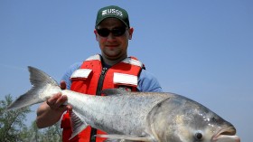 Countering the Carp: Experts Test Strategy to Prevent Great Lake Invasion