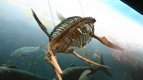 ichthyosaur