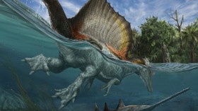 Spinosaurus aegyptiacus