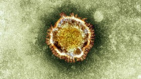 novel Coronavirus 