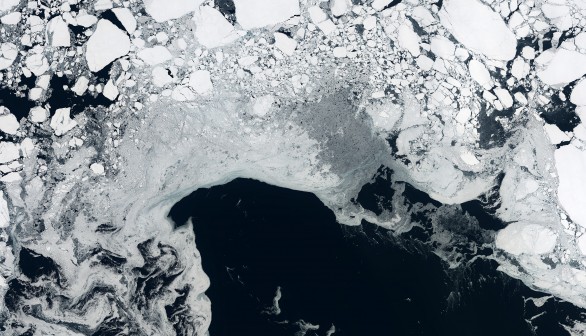 Arctic sea ice