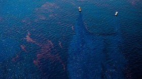 BP oil spill