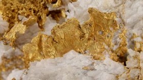 Chinese gold specimen