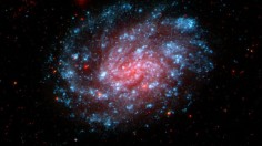 Galaxy NGC 300