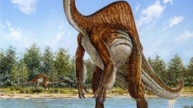 Deinocheirus mirificus