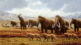 woolly mammoths