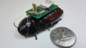 cockroach biobot