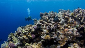 Great barrier reef