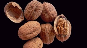 walnut