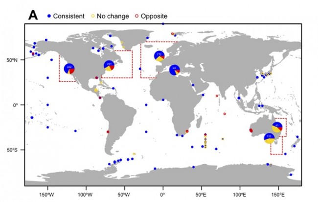 As Oceans Warm, Marine Life Moves Poleward, Changes ...