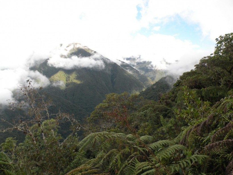 Peruvian Mountainside (IMAGE)