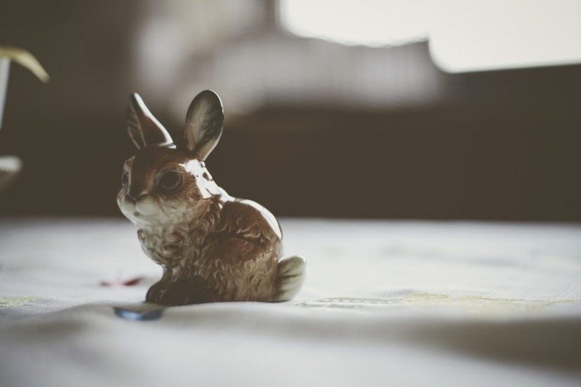 DNA Embedded Into Everyday Objects Creates Perfect Clones of the Stanford Bunny