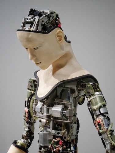 If Robots Had Nervous Systems, How Would They Feel?