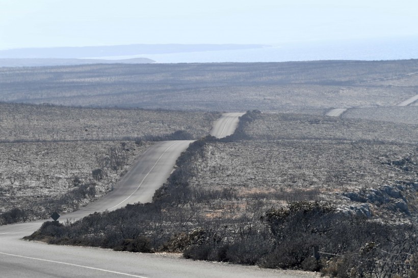 A general view of the damage done to the Flinders Chase National Park after bushfires swept through on Kangaroo Island