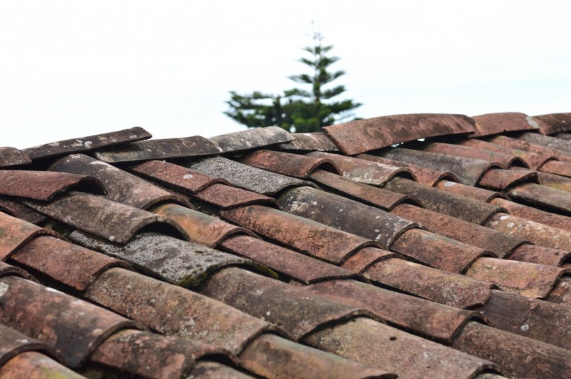 Signs Your Roof Is in Poor Shape