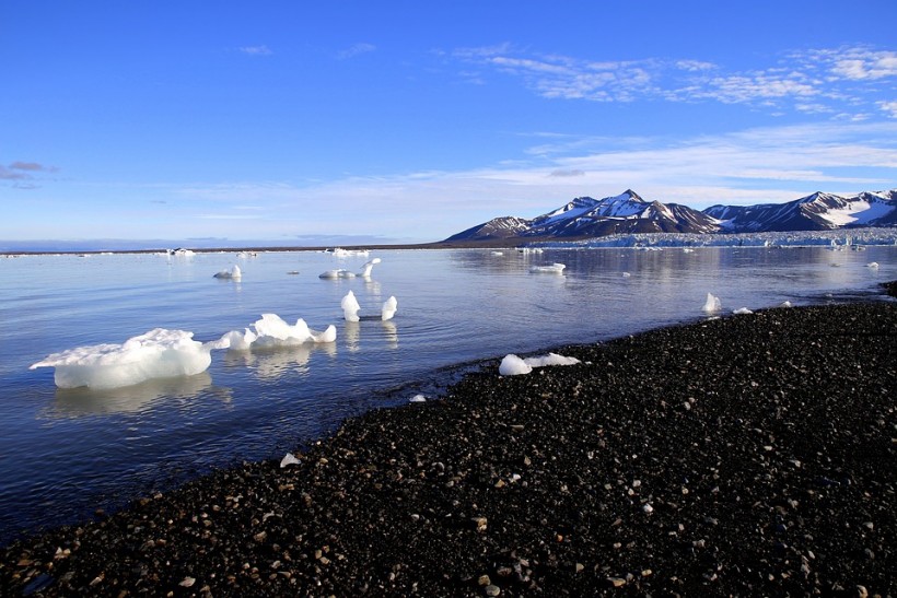  Melting of Arctic Permafrost Brings Long-Dead Viruses Back