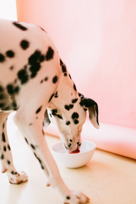 Raw Pet Food May Contain Antibiotic-Resistant Microbes that may be Harmful to Humans