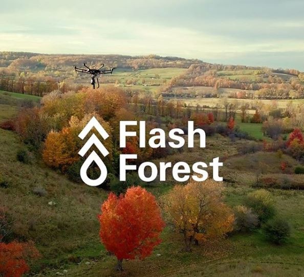 Flash Forest plans to use drones to plant 1 billion trees by 2028