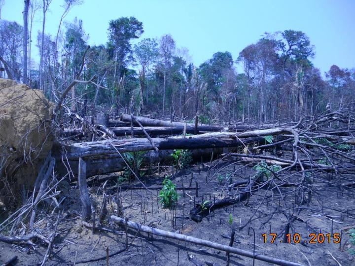 Malaria Risk in Deforestation Hotspots (IMAGE)