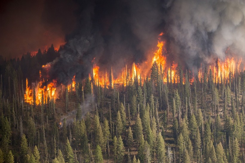 Wildfire Alert: Evacuation Ordered as Fire Spreads Near Evergreen, Colorado 
