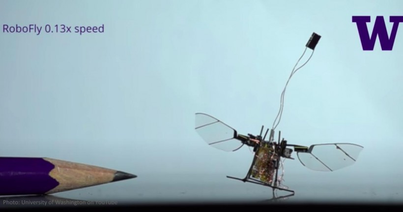 Nature World News - GoPro Beetle Version: An Insect Backpack Robotic Camera and Insect Robot 