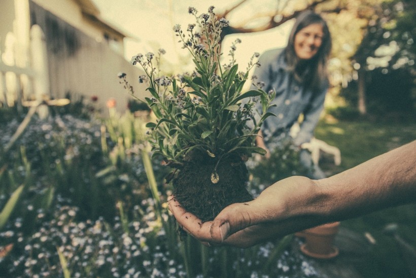 3 Simple Steps to Get Gardening Today
