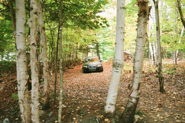 Travel By Car in the Forest - What to Do in an Emergency?