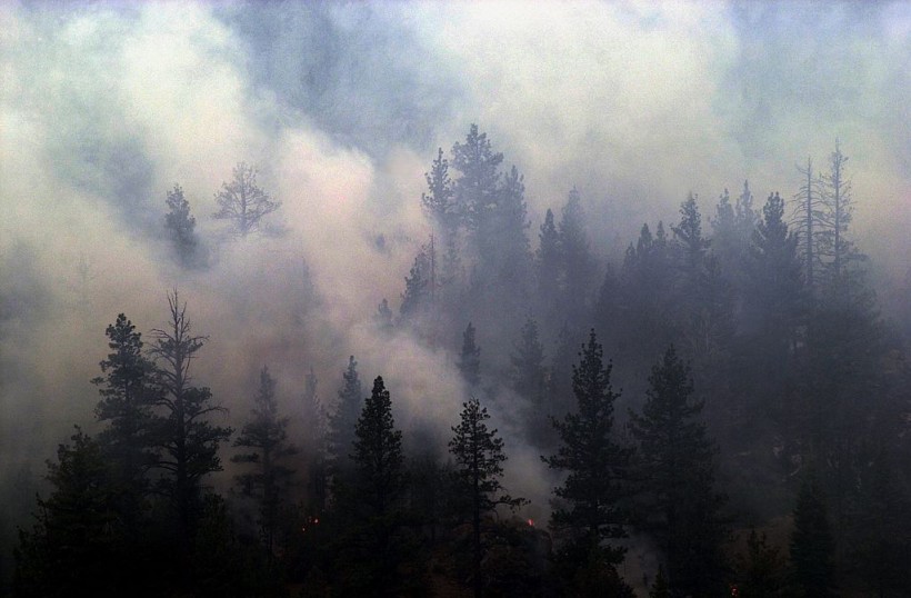 Manter Fire Burns Sequoia National Forest