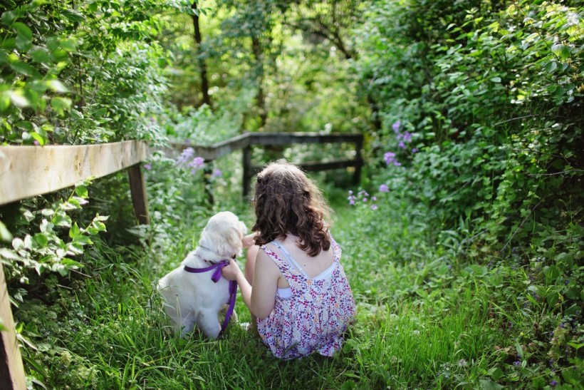 The Unlikely Pair of Pups & Produce: 6 Tips for Establishing a Dog-Friendly Garden