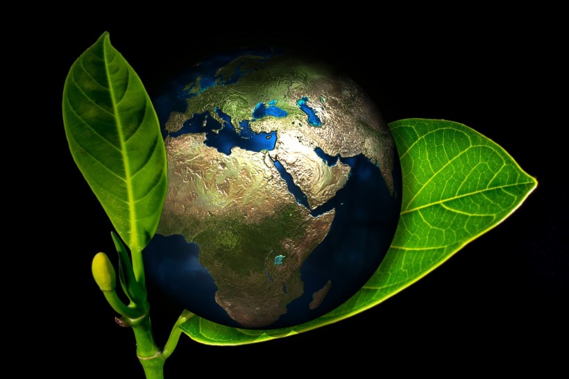 5 Ways to Be More Eco-Friendly