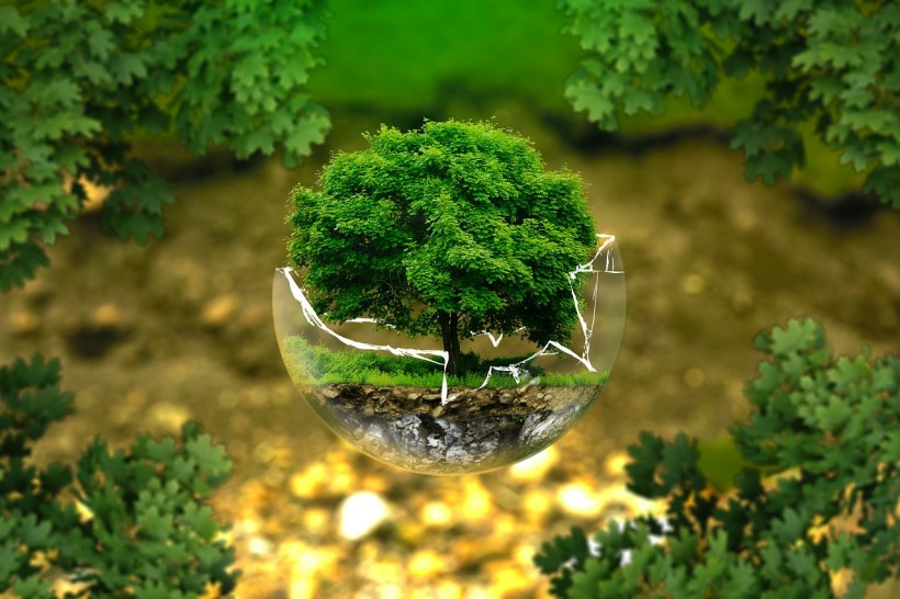 What is Environmental Sustainability in the Workplace