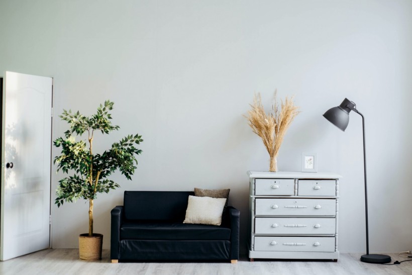 How to Choose Eco-Friendly Furniture