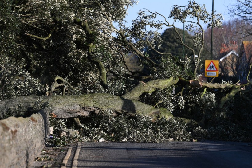 Yellow Weather Warning Issued Across The UK Amid Clean-Up From Storm Eunice