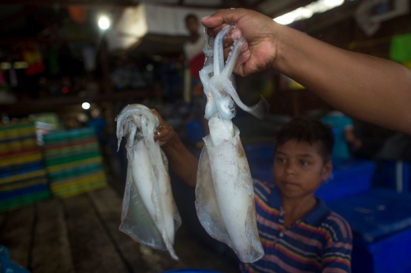 DOUNIAMAG-MYANMAR-CULTURE-FISHING-INDIGENOUS-MOKEN