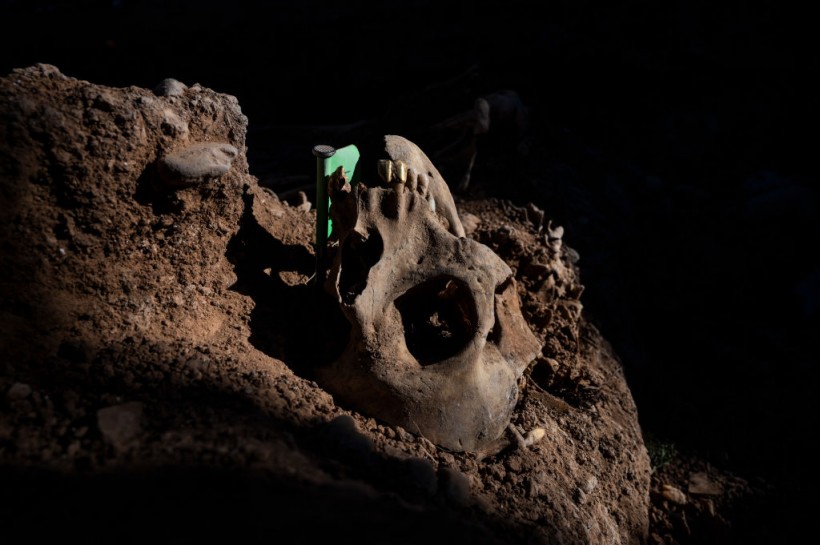 Uncovering Bodies At Belchite Mass Grave From Spanish Civil War