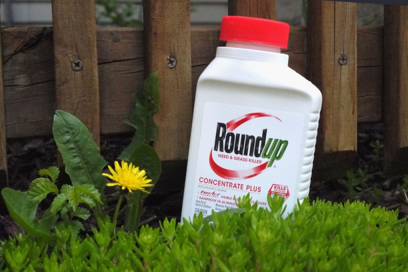 Monsanto Charged $2 Billion In Damages For Weed Killer Roundup Cancer Lawsuit