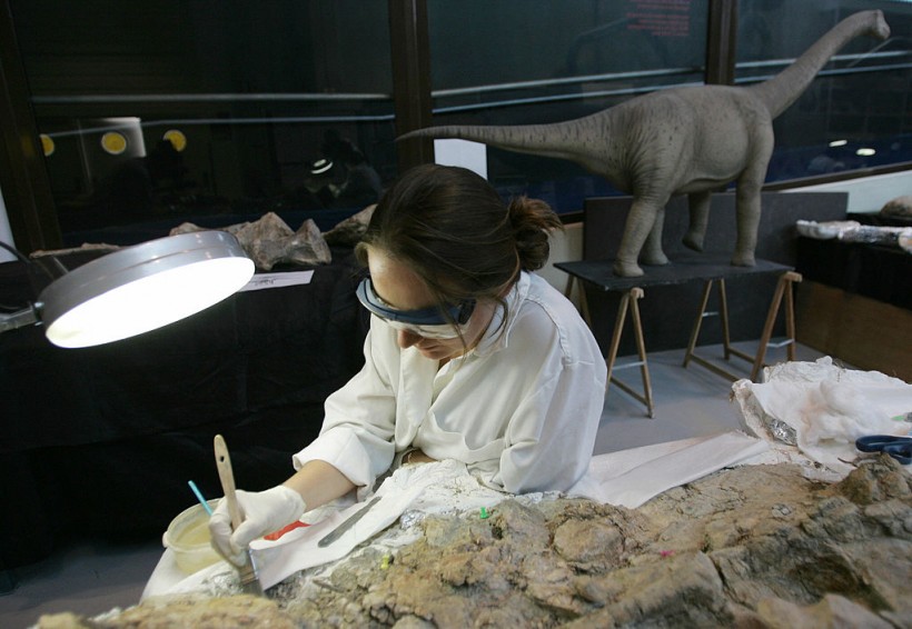 A palaeontologist at the Dinopolis theme