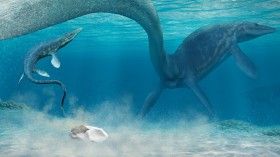 North America's oldest mosasaur fossil found at Grand Staircase-Escalante -  Moab Sun News