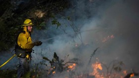 Catastrophic Wildfire in New York City Kills 18-Year-Old Park Employee, Triggers Unhealthy Air Readings